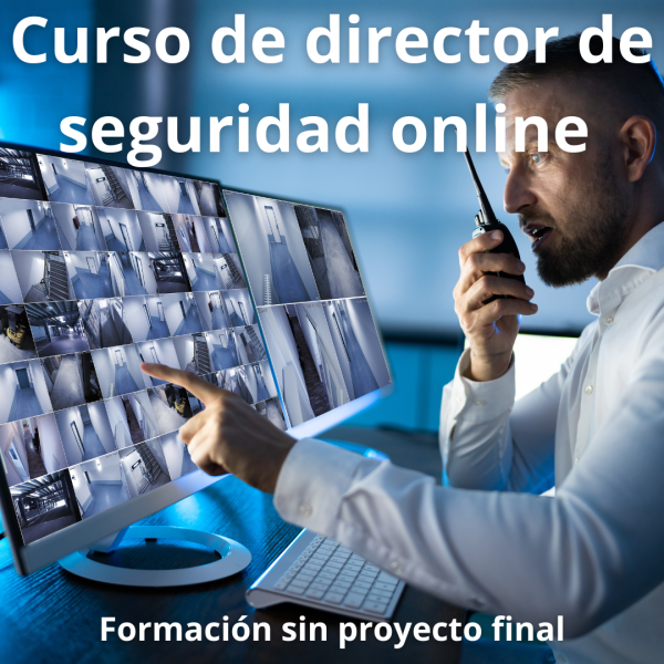 DIRECTOR DE SEGURIDAD PRIVADA